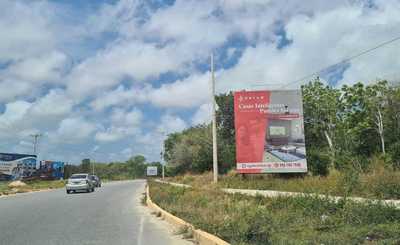 Calle De Los Colegios, Alfredo V. Bonfil, Quintana Roo, México